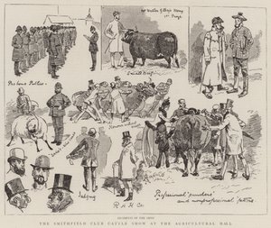 Smithfield Club Cattle Show i Agricultural Hall af Alfred Chantrey Corbould