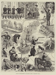 Holiday Entertainments, vores kunstners noter på Hengler