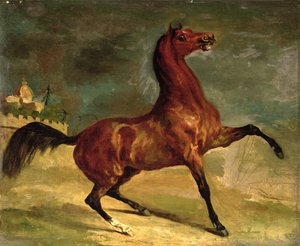 En hest i et landskab