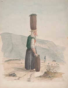 Trækulssælger, Tenerife
