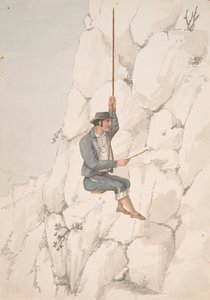 Gomero, Orchilla-samler