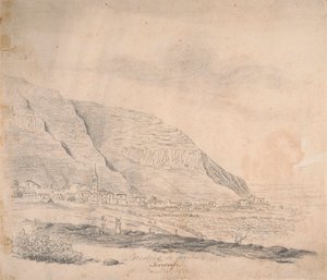 Realejo fra oven, Tenerife af Alfred Diston