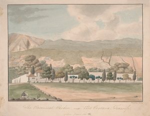 Den botaniske have nær Port Orotava, Tenerife af Alfred Diston