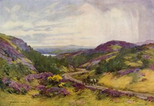 Danmark: Raebild Bakker, nær Aalborg (farve litho) af Alfred Heaton Cooper