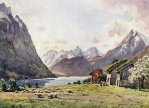 Hjorund Fjord, Gås af Alfred Heaton Cooper