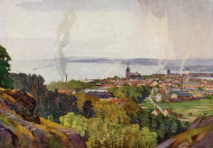 Jonkoping af Alfred Heaton Cooper