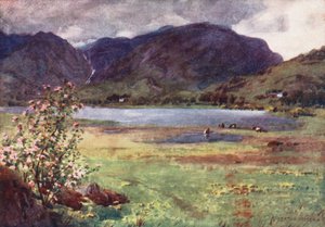 Lake District: Little Langdale Tarn (farvelitografi) af Alfred Heaton Cooper
