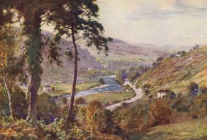 The Vale of Ovoca af Alfred Heaton Cooper