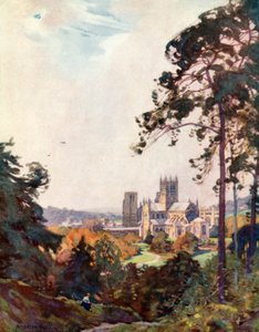 Wells Cathedral, fra Tor (farve litho) af Alfred Heaton Cooper