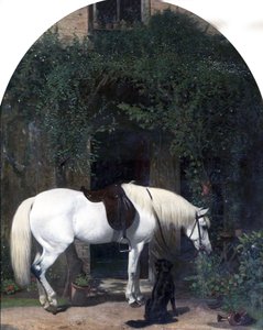 Hvid hest og retriever af Alfred Hichens Corbould