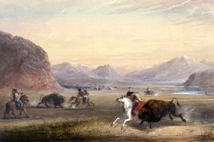 Bisonjagt nær Independence Rock af Alfred Jacob Miller