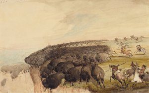 Driving Herds of Buffalo over a Precipice, ca. 1837 (blyant, pen og blæk og akvarel på papir) af Alfred Jacob Miller
