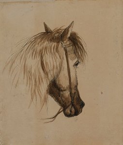 Hestehoved af Alfred Jacob Miller