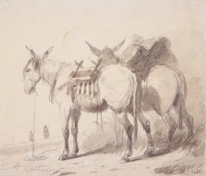 Mule Equipment, ca. 1837 (blyant og vask på papir) af Alfred Jacob Miller