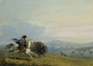 Pawnee-indianernes løbende bøffel