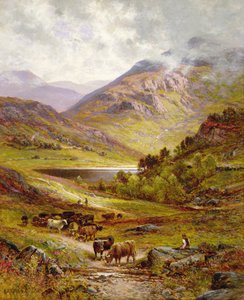 Longhorn-kvæg i et bjergrigt landskab