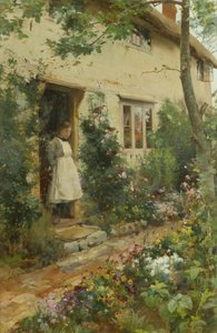Hyttehaven