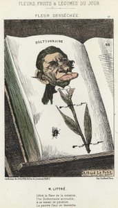 Déséchée flower: tegneserie om Littré - ill. fra 01/02/1871 i "Dagens blomster, frugter og grøntsager" af Alfred Le Petit