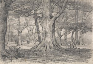 Et skovlandskab nær Boldrewood af Alfred Parsons