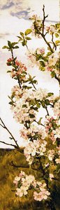 Æbleblomst, ca. 1880-86 (olie på panel) af Alfred Parsons