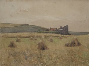 Wheatfield