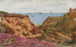 Alum Chine, Bournemouth af Alfred Robert Quinton