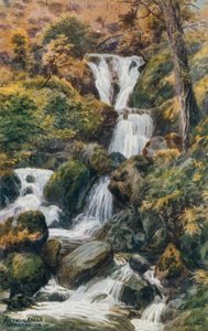 Arthog Falls, Nr. Barmouth af Alfred Robert Quinton