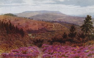 Blackdown fra baghovedet af Alfred Robert Quinton