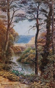 Branksome Chine, Bournemouth af Alfred Robert Quinton