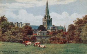 Chichester, Cathedral, fra Meadows af Alfred Robert Quinton