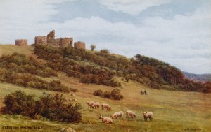Clevedon, Walton Castle af Alfred Robert Quinton