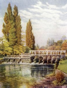Ålefælder ved Hedsor af Alfred Robert Quinton