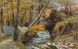 Groudle Glen, I of Man af Alfred Robert Quinton