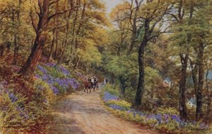Hobby Drive, Clovelly (farve litho) af Alfred Robert Quinton
