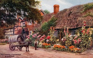Stokroser, Cropthorne, Evesham af Alfred Robert Quinton