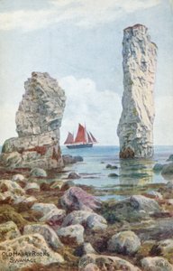 Old Harry Rocks, Swanage af Alfred Robert Quinton