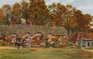 Swan Green, Lyndhurst af Alfred Robert Quinton