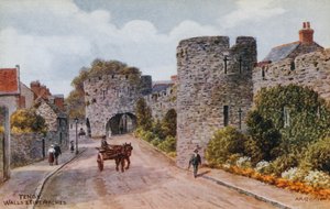 Tenby, Mure og Fem Buer af Alfred Robert Quinton