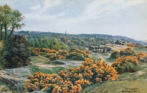 The Common, Tunbridge Wells af Alfred Robert Quinton