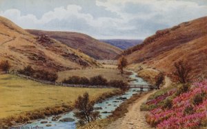 The Doone Glen, Lynton af Alfred Robert Quinton