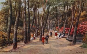 The Pine Walk, Bournemouth af Alfred Robert Quinton