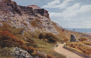 The Undercliff, Niton, I of Wight af Alfred Robert Quinton