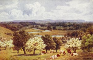 The Vale of Evesham af Alfred Robert Quinton