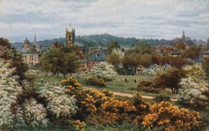 Tunbridge Wells fra The Common af Alfred Robert Quinton