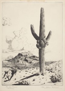 The Sentinel (Sahuaro) (ætsning og akvatint) af Alfred Rudolph Waud