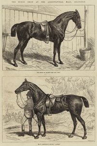 Horse Show i Agricultural Hall, Islington af Alfred Sheldon Williams
