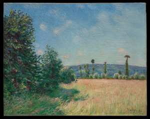 Engene ved Sahurs i morgensol af Alfred Sisley