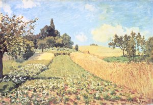 Wheat Field (olie på lærred) af Alfred Sisley