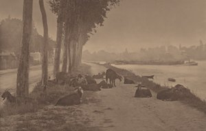  af Alfred Stieglitz
