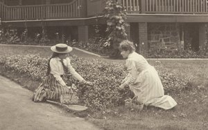 Et blomsterbed i Oaklawn af Alfred Stieglitz